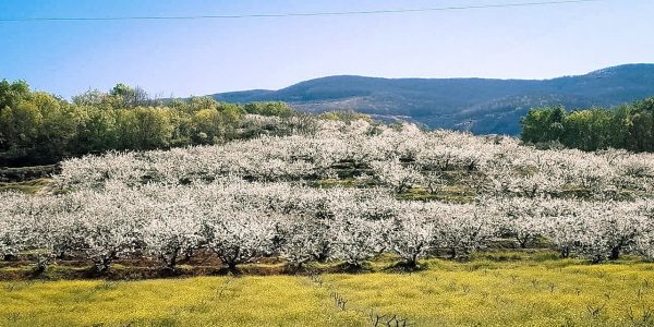 E03D5626-4251-4D04-B474-5129A0646E2A